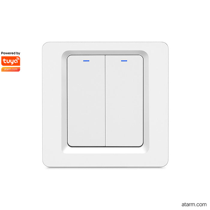 DS-102-2 Wi-Fi 2gang Light Switch - IFREEQ Expo